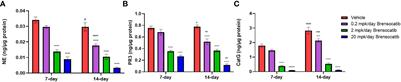 Brensocatib, an oral, reversible inhibitor of dipeptidyl peptidase 1, mitigates interferon-α-accelerated lupus nephritis in mice